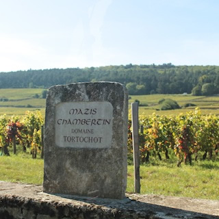 bourgogne_marsanay4
