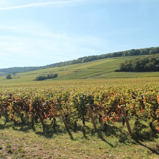 bourgogne_marsanay5
