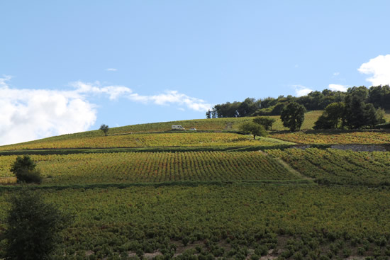 cote_brouilly_montagne