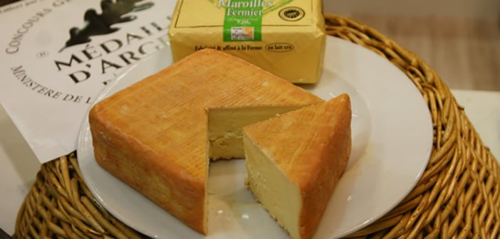 マロワール チーズ Le Maroilles Paris Bistro Japon
